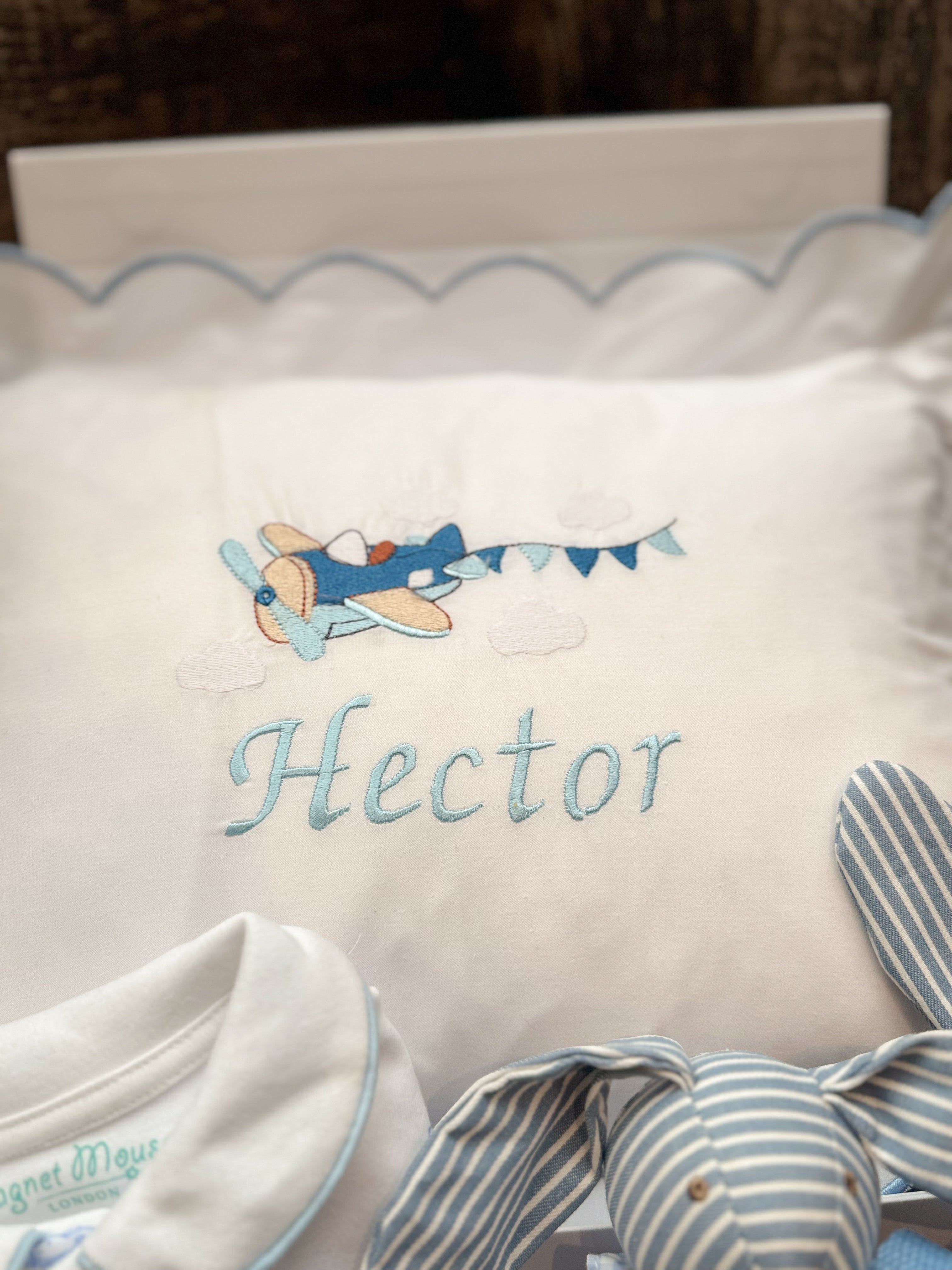 Baby boy Aeroplane gift box